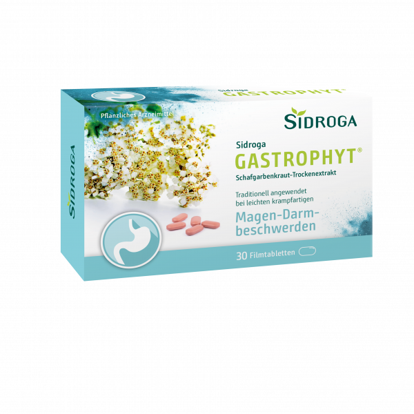 SIDROGA GastroPhyt 250 mg Filmtabletten