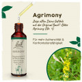 Original Bachblüten Agrimony 20ml