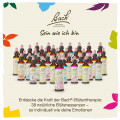 Original Bachblüten Holly 20ml