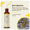 Original Bachblüten Hornbeam 20ml