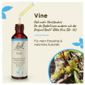 Original Bachblüten Vine 20ml