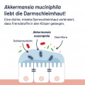PROBIO-Cult AKK1 Akkermansia Syxyl Tabletten