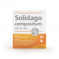 SOLIDAGO COMPOSITUM ad us.ve.  für Tiere Ampullen