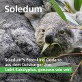 SOLEDUM Balsam flüssig