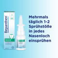 BEPANTHEN Meerwasser Nasenspray