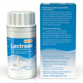 LACTRASE 6.000 FCC Kapseln