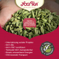 YOGI TEA Sweet Chai Bio Filterbeutel
