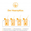 MINOXIDIL BIO-H-TIN® 50mg/ml für Männer