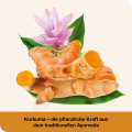 CURCUMIN-LOGES Kapseln