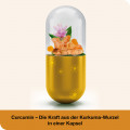 CURCUMIN-LOGES Kapseln