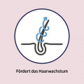 MINOXICUTAN Männer 50 mg/ml Spray 60ml
