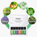 ÄTHERISCHE Öle Set naturrein Top 6 Aromatherapie