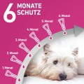 FRONTLINE TRI-ACT gegen Zecken, Flöhe und fliegende Insekten für Hunde XS