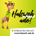 FLURBIPROFEN Dexcel bei Halsschmerzen 8,75 mg/Dos.Spray Mundhöhle