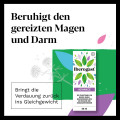 IBEROGAST ADVANCE Flüssigkeit zum Einnehmen bei funktionellen Magen-Darm-Erkrankungen