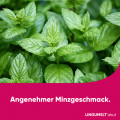 LINGUMELT akut 2 mg Lyophilisat zum Einnehmen