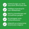 ÄTHERISCHE Öle Duftmischungen Set naturrein Top 6
