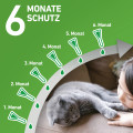 FRONTLINE COMBO gegen Zecken, Flöhe (Flöhe, Eier, Larven, Puppen) für Katzen