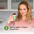 QUERCETIN KAPSELN 500 mg hochdosiert
