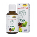 FRÄULEIN Grün Wald alchemistische Essenz