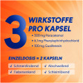 OTRICOMPLEX Erkältungskapseln 500mg/6,1mg/100mg