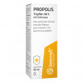 BEECRAFT Propolis Tropfen 55% plus Echinacea