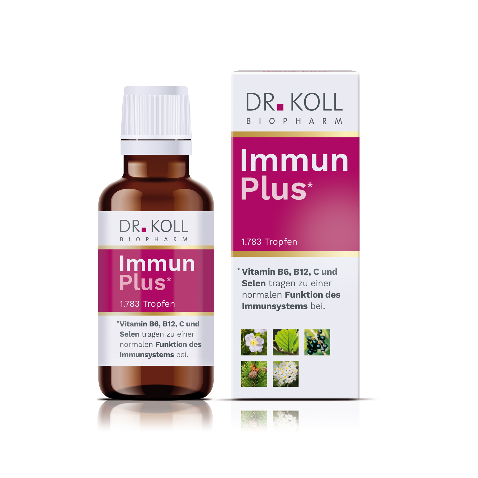 IMMUN PLUS Dr.Koll Gemmo Kompl.Vit.B6 B12 Selen Tr IMMUN PLUS Dr.Koll Gemmo Kompl.Vit.B6 B12 Selen Tr